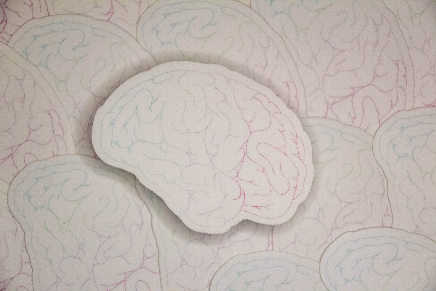 Creative Minds | Rainbow Brains | Creative Flow | Colorful Minds
