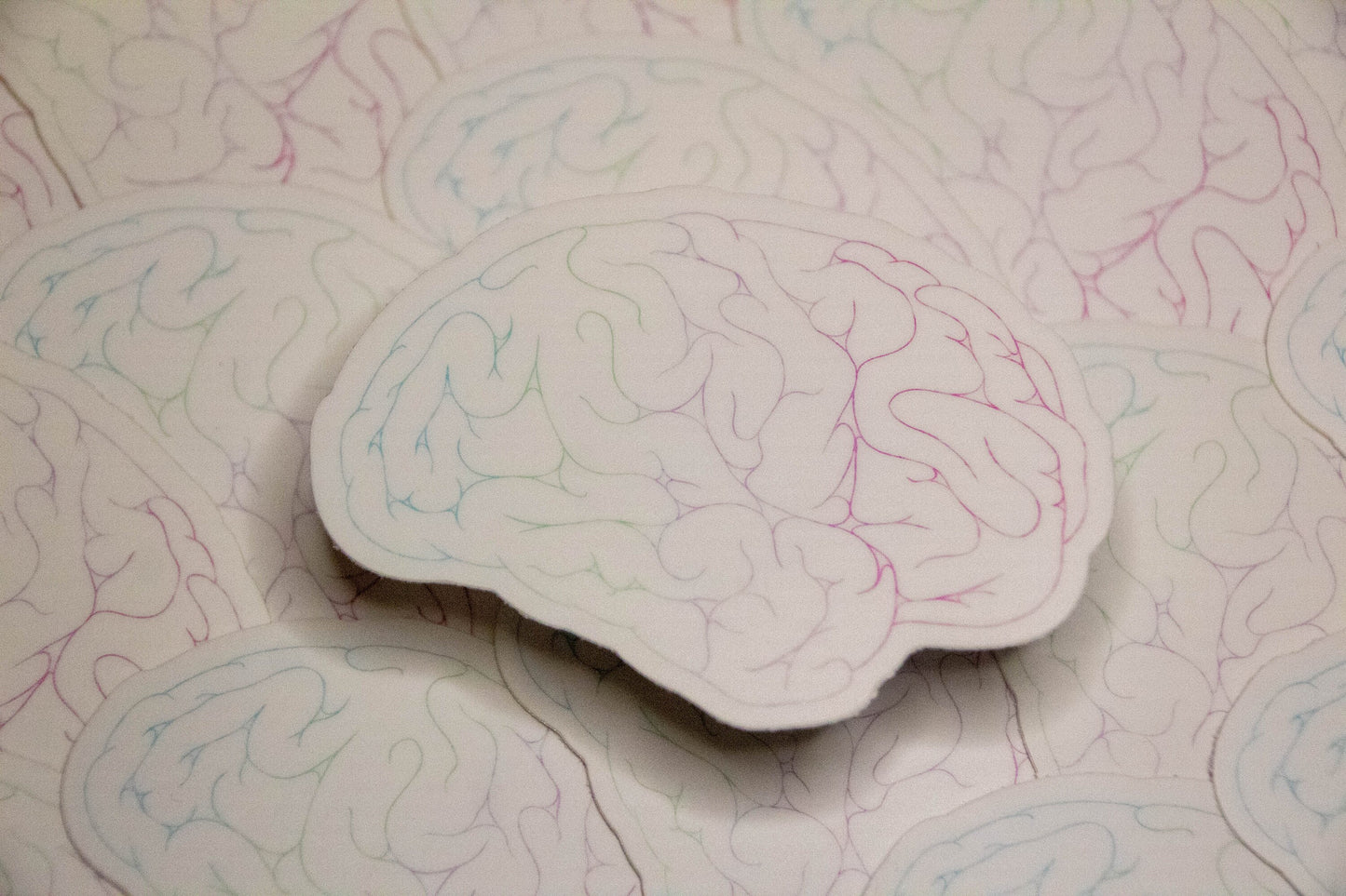 Creative Minds | Rainbow Brains | Creative Flow | Colorful Minds
