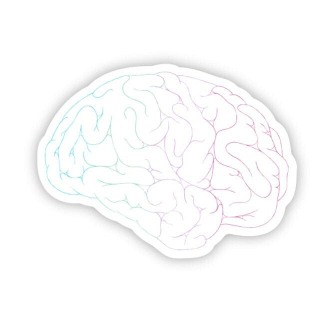Creative Minds | Rainbow Brains | Creative Flow | Colorful Minds