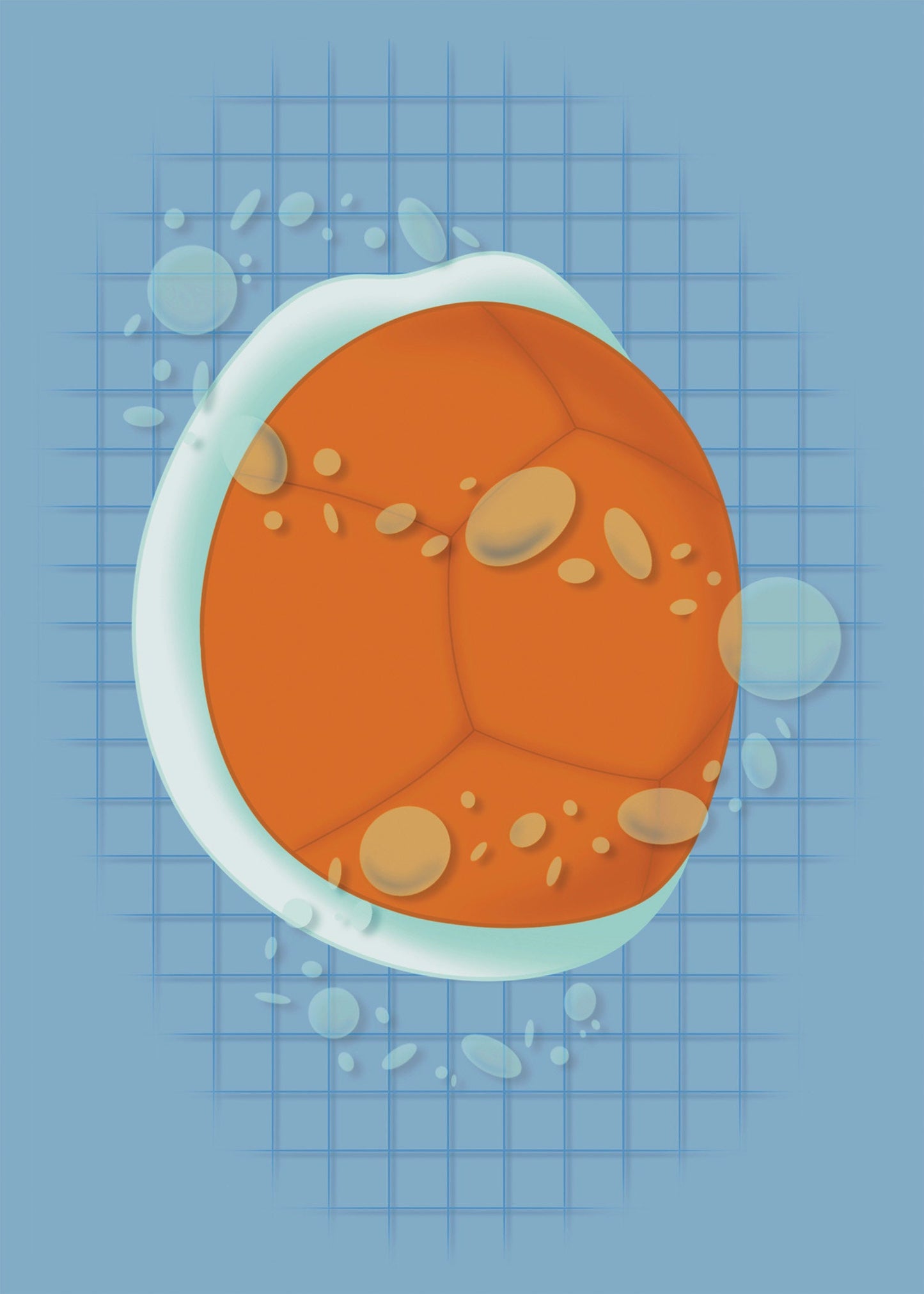 Squirtle Inspired Print | Original Design | Water Type | 5x7in Print | Who Do You Choose | Pokemon Inspired