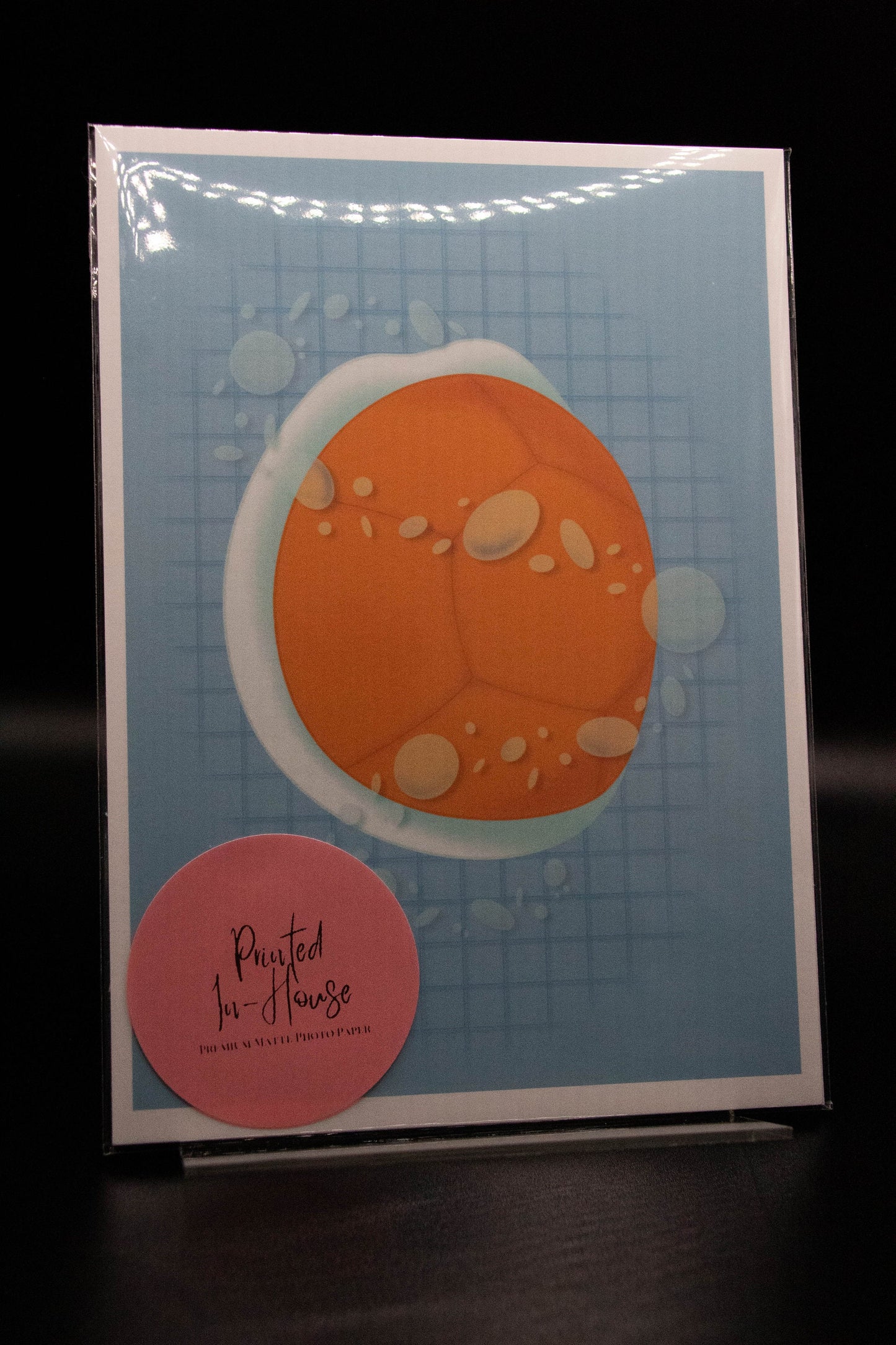 Squirtle Inspired Print | Original Design | Water Type | 5x7in Print | Who Do You Choose | Pokemon Inspired