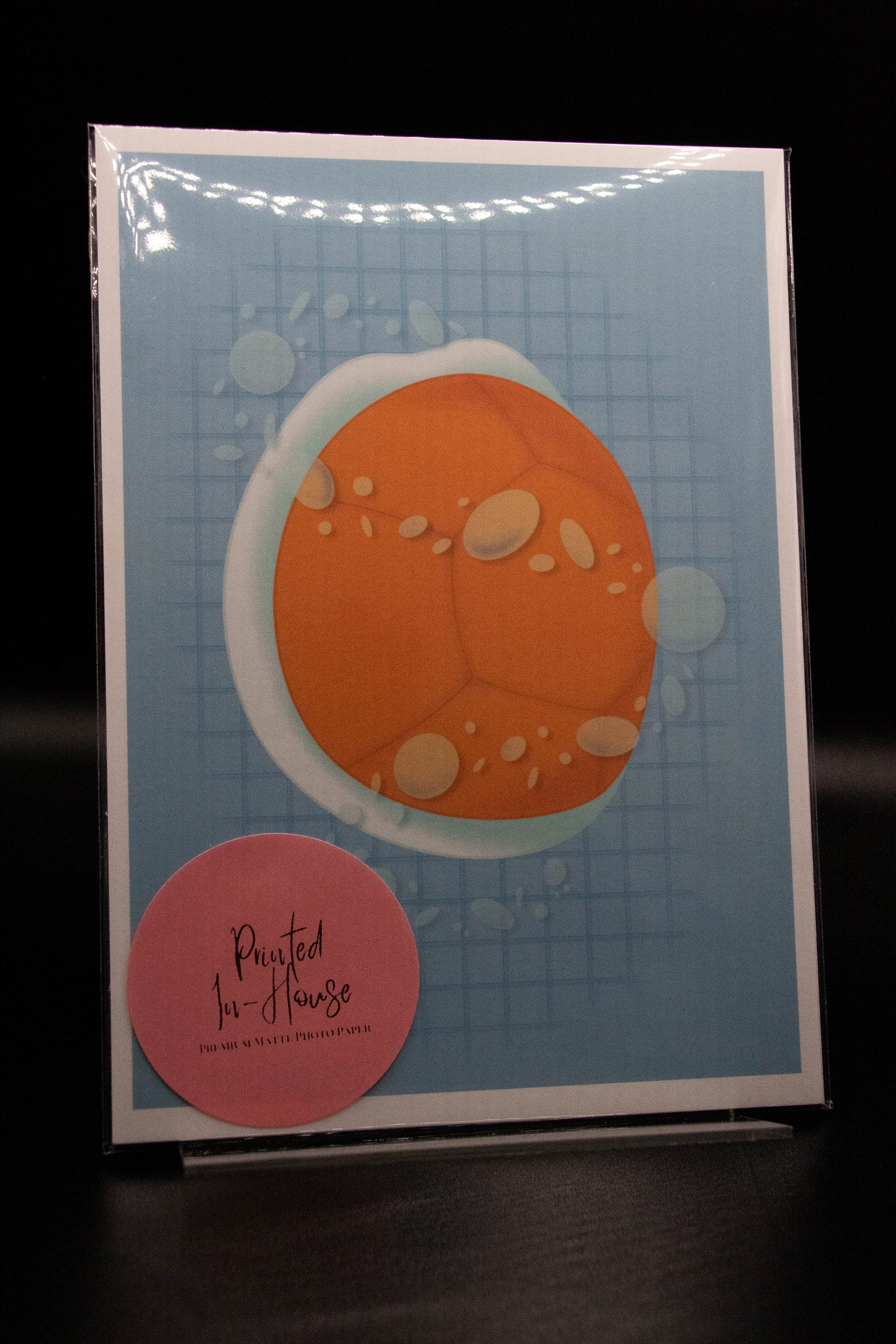 Squirtle Inspired Print | Original Design | Water Type | 5x7in Print | Who Do You Choose | Pokemon Inspired